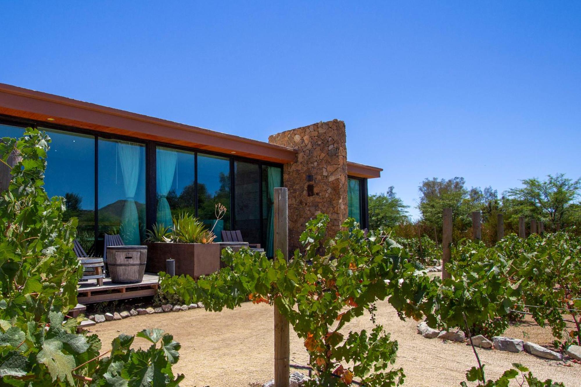 Hotel Boutique Valle De Guadalupe & Spa الغرفة الصورة